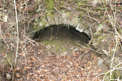 
Lasgarn Quarry Southern tunnel, March 2009